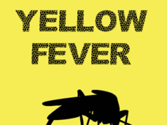 yellow fever
